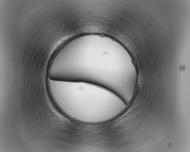 X0000090910438200708131415