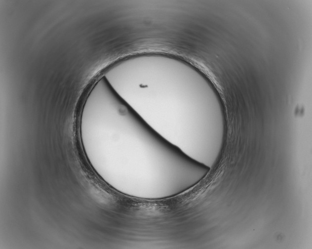 X0000090910439200708131415