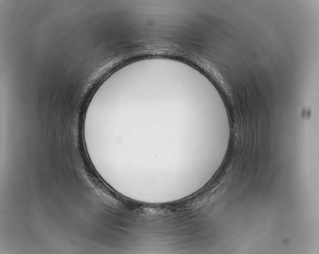 X0000090910442200708131415