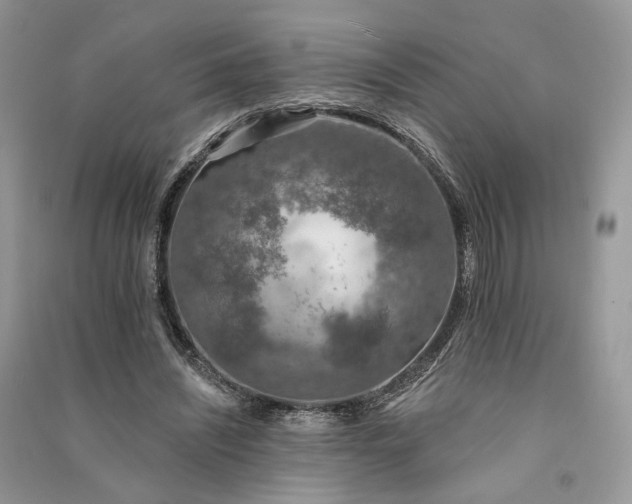 X0000090910444200708131415