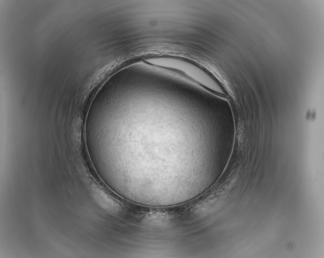 X0000090910445200708131415