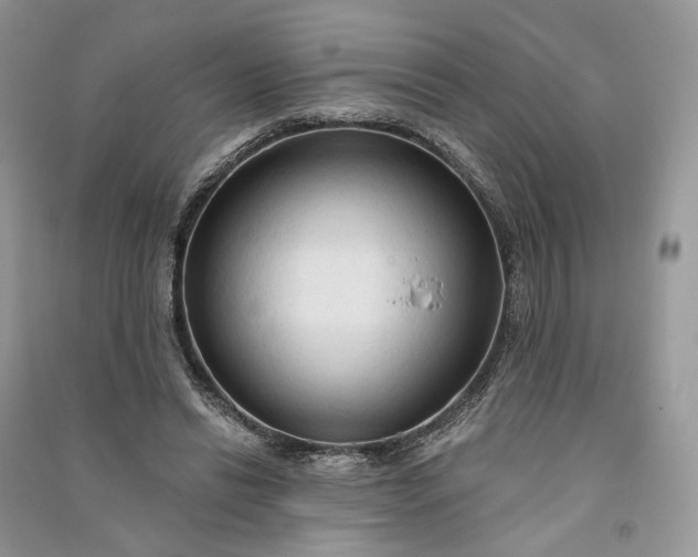 X0000090910446200708131415