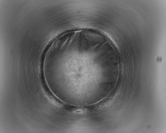 X0000090910447200708131415