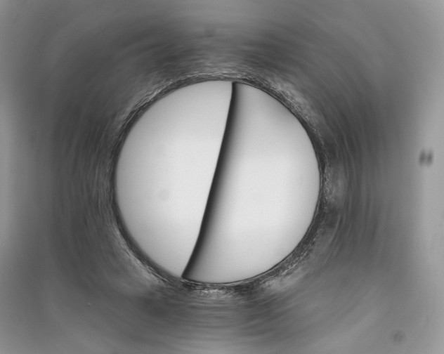 X0000090910449200708131415