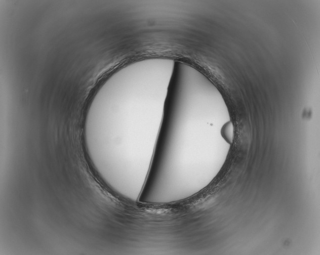 X0000090910450200708131415