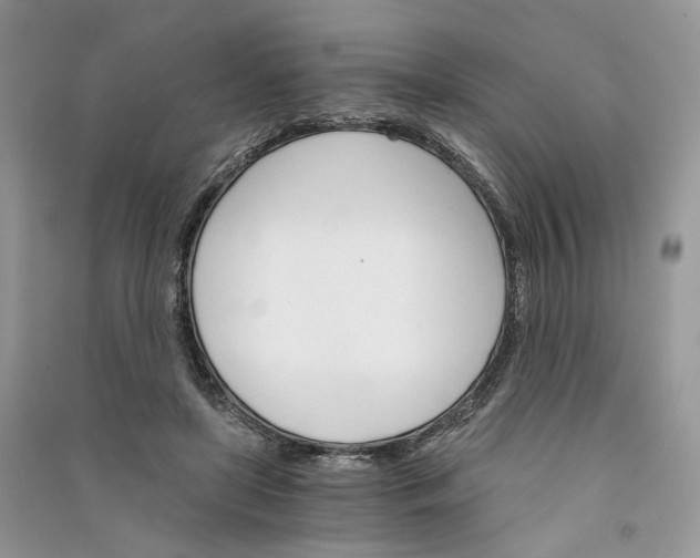 X0000090910451200708131416