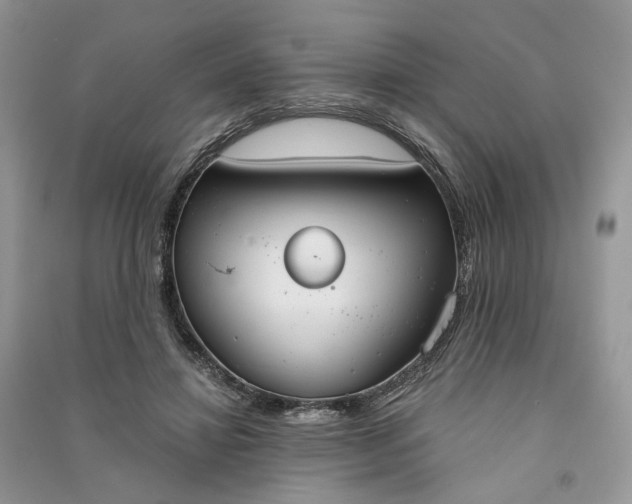 X0000090910452200708131416