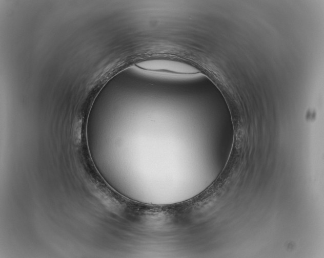 X0000090910454200708131416