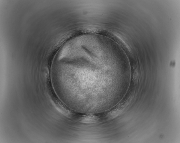 X0000090910459200708131416