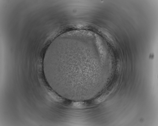 X0000090910461200708131416