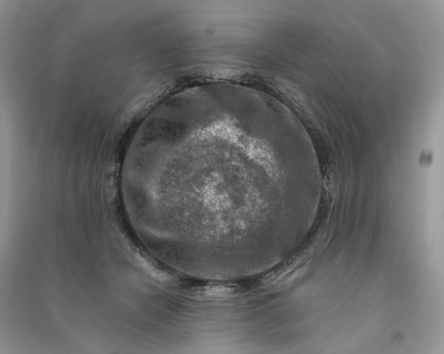 X0000090910462200708131416