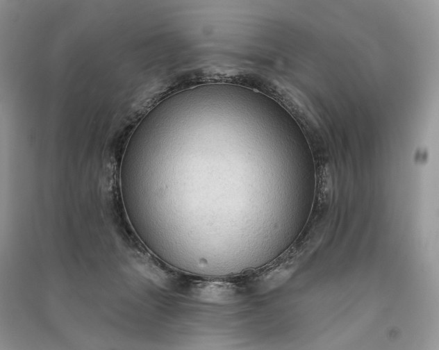 X0000090910463200708131416