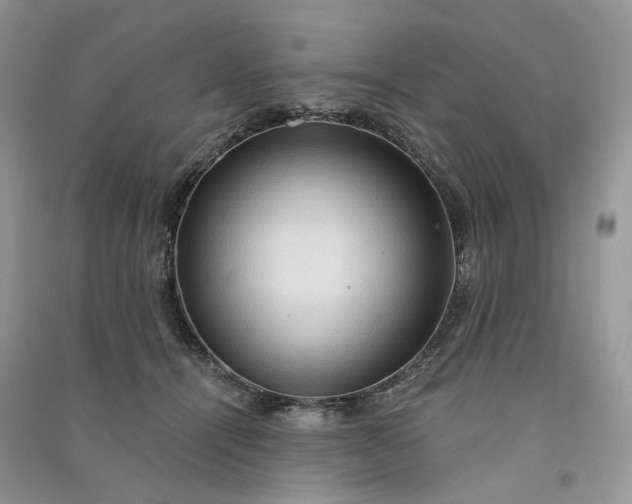 X0000090910464200708131416