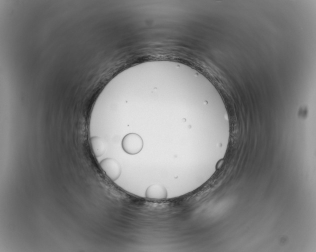 X0000090910469200708131416