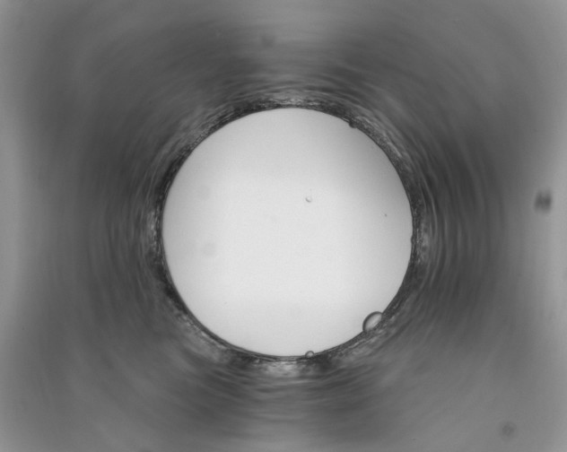 X0000090910473200708131416