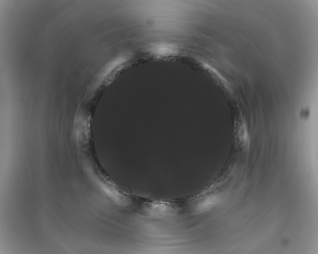 X0000090910475200708131416