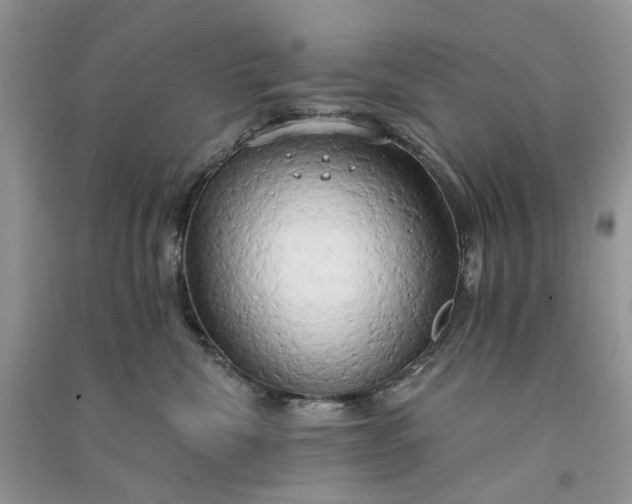 X0000090910476200708131416