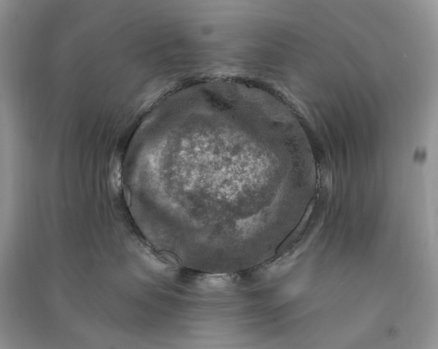 X0000090910479200708131416