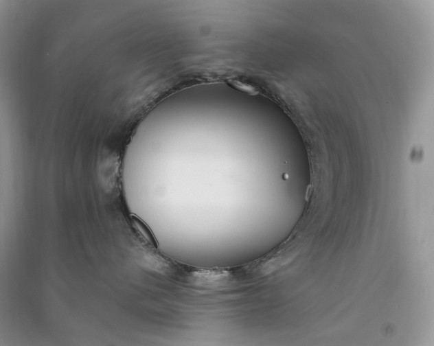 X0000090910480200708131416