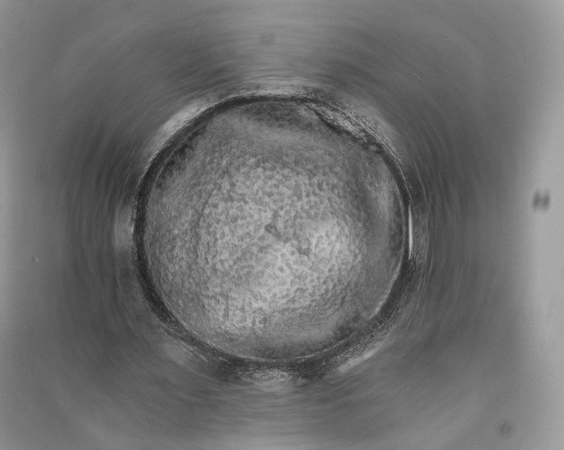 X0000090910483200708131415