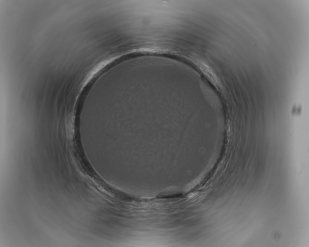 X0000090910484200708131415