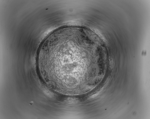 X0000090910487200708131415