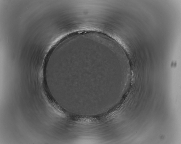 X0000090910488200708131415