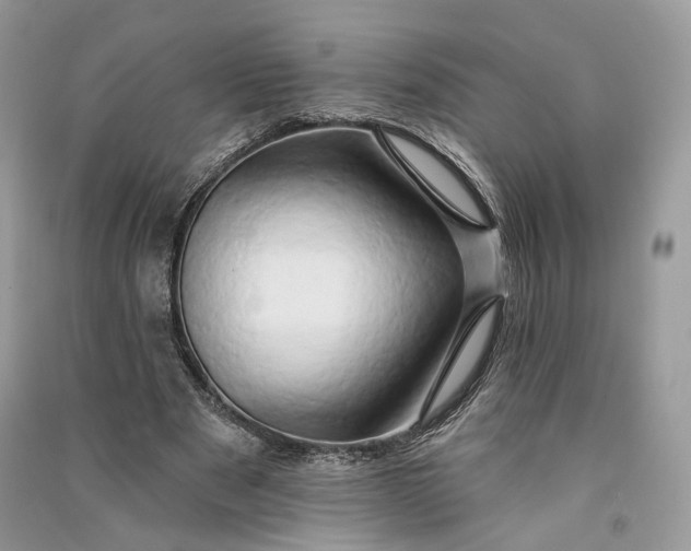 X0000090910489200708131415