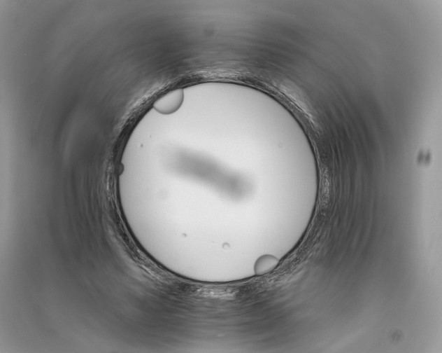 X0000090910491200708131415