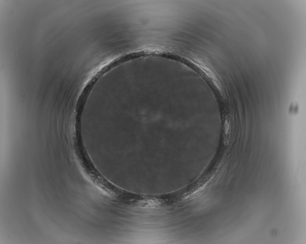 X0000090910492200708131415