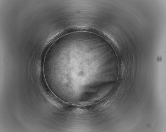 X0000090910494200708131415