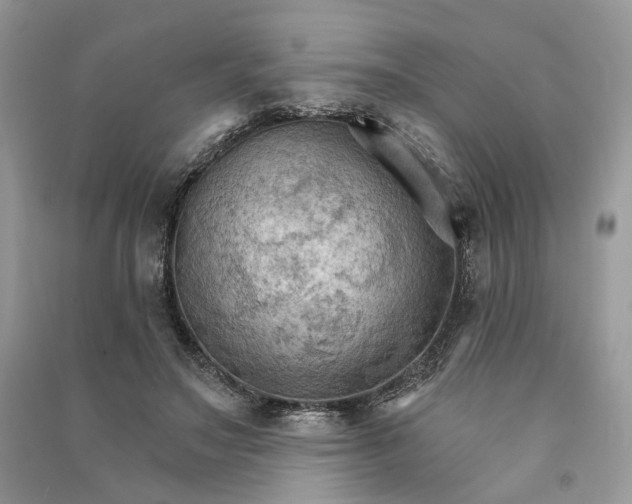 X0000090910499200708131415