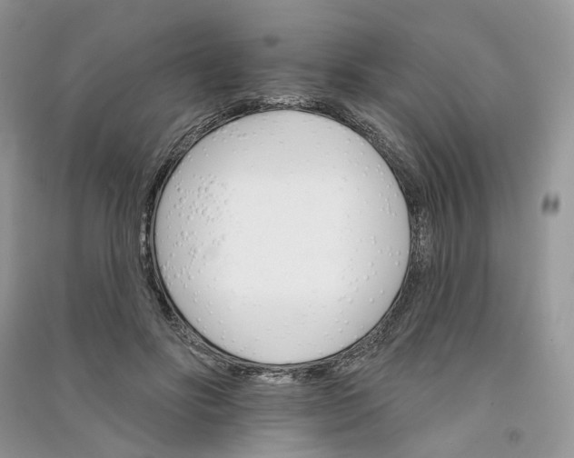 X0000090910502200708131415