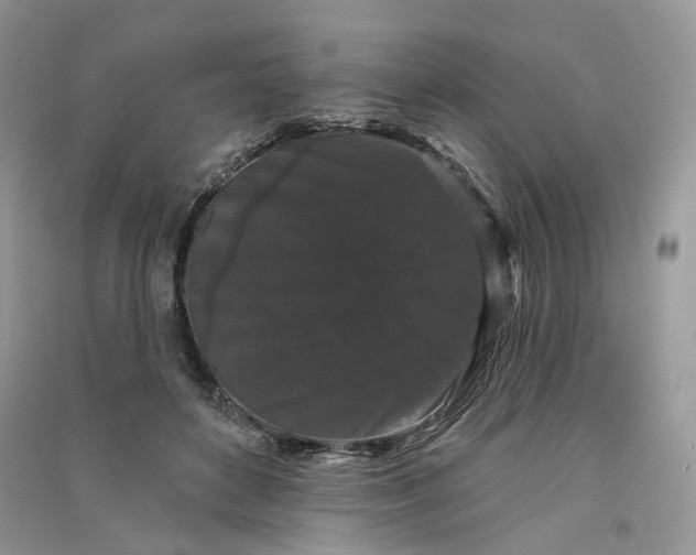 X0000090910504200708131415