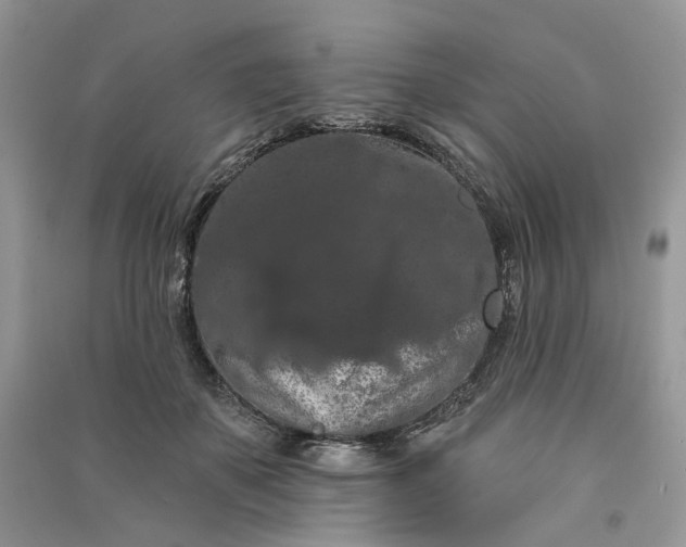 X0000090910507200708131415