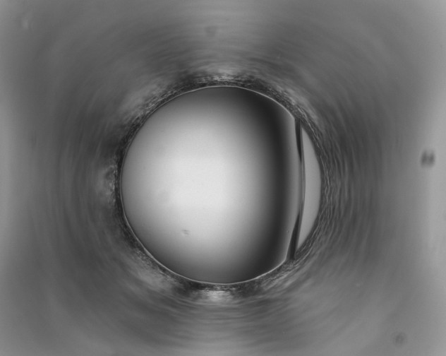 X0000090910509200708131415