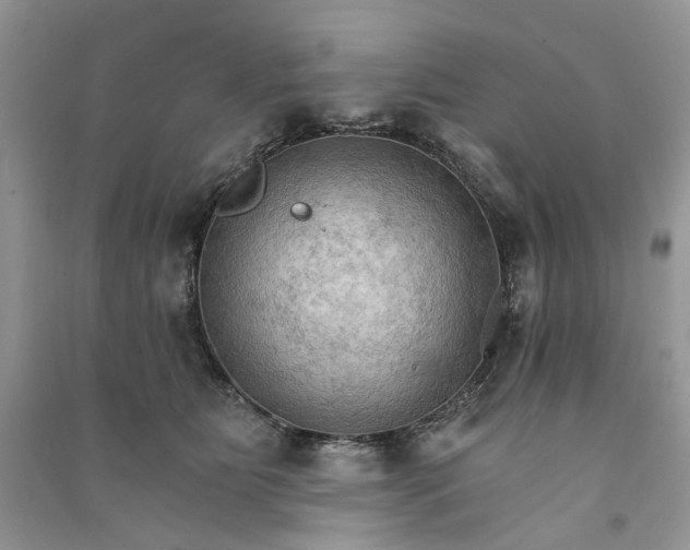 X0000090910515200708131415