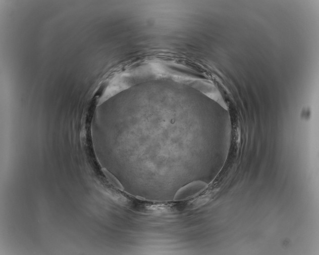 X0000090910516200708131415