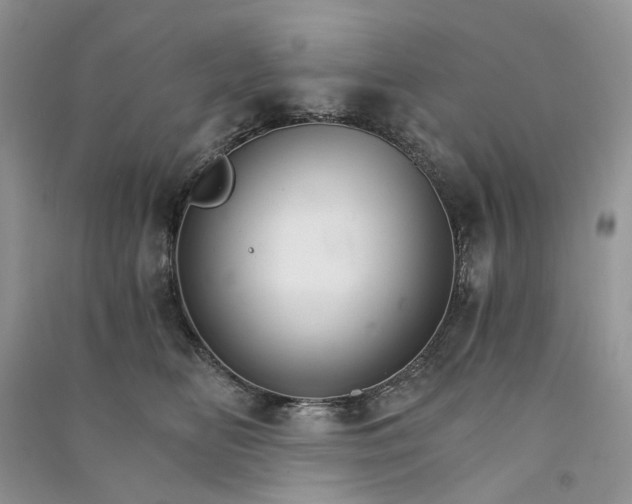 X0000090910518200708131415