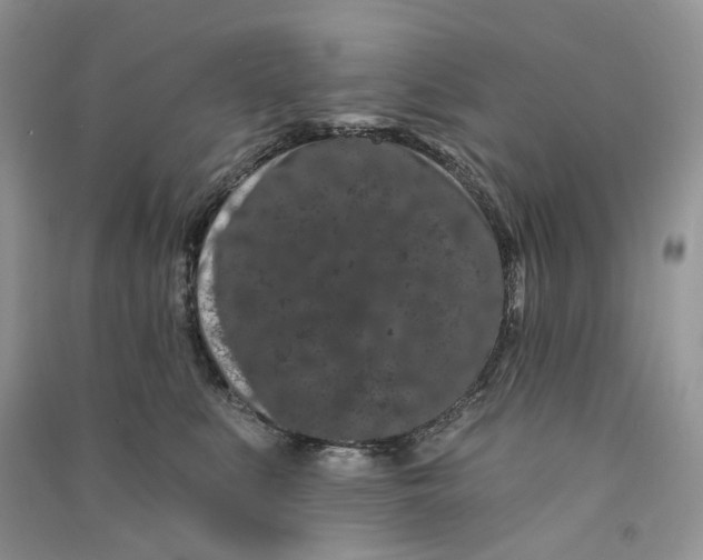 X0000090910519200708131415