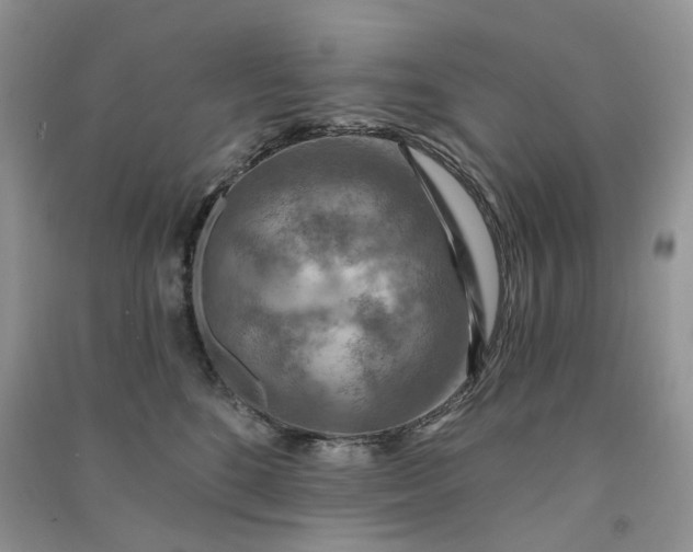 X0000090910520200708131415