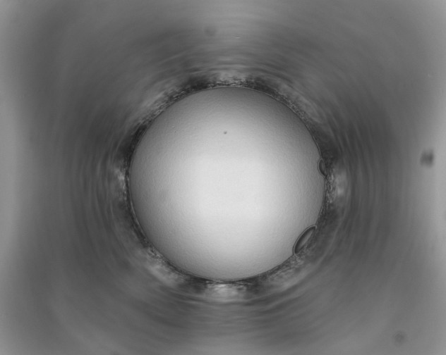 X0000090910522200708131415