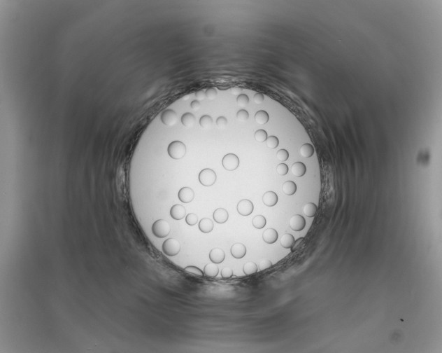 X0000090910523200708131415