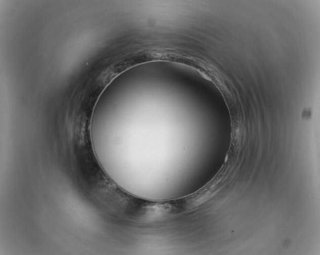 X0000090910525200708131415