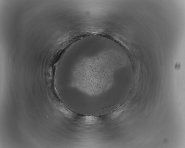 X0000090910528200708131415