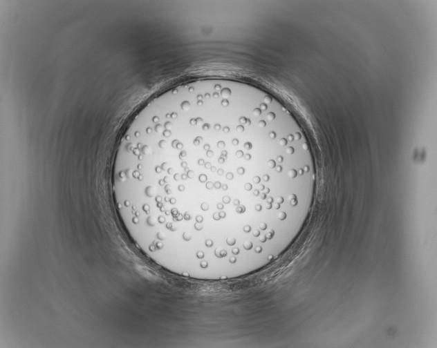 X0000090910529200708131414