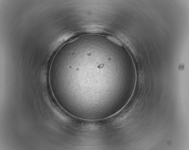 X0000090910533200708131414