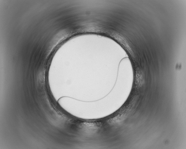 X0000090910534200708131414