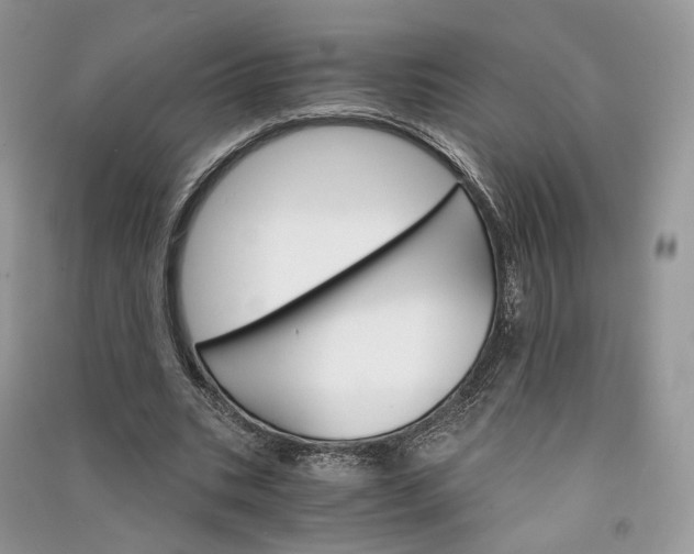 X0000090910535200708131414