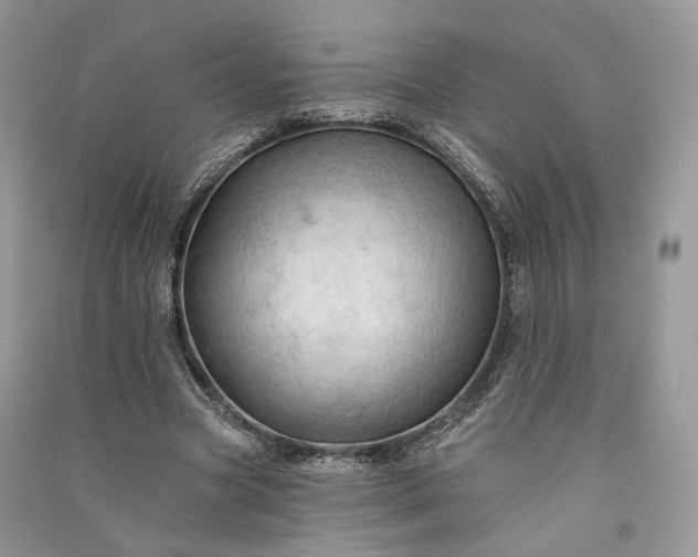 X0000090910537200708131414